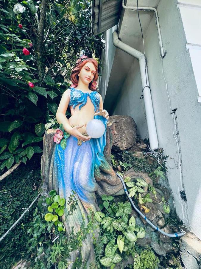ホテル Queen Annes Bungalow コダイカナル エクステリア 写真